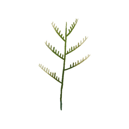 hand painted illustration with branch, leave. herbal illustrationのイラスト素材