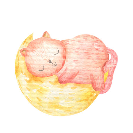 Cute cat sleeping on the moon. Hand drawn watercolor illustration.の写真素材