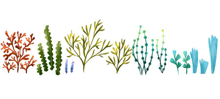Set of sea colored algae and corals. Plants. Underwater flora. Hand drawn illustration on isolated...