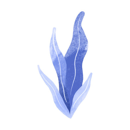 Hand drawn algae elements. Isolated illustration with seaweed. Childish watercolor illustrationの写真素材