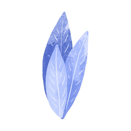 Hand drawn algae elements. Isolated illustration with seaweed. Childish watercolor illustrationの写真素材