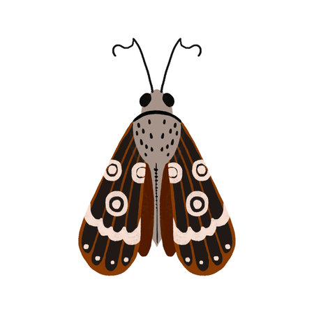 Night moth. Mysticism and magic. Hand drawn doodle illustration. Children's cartoon drawing on...