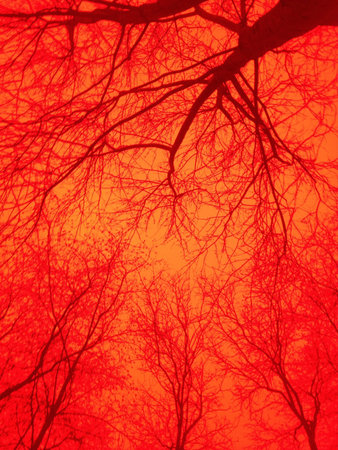 A water reflection shot with a red filter. の素材