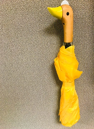 Yellow duck umbrellaの素材