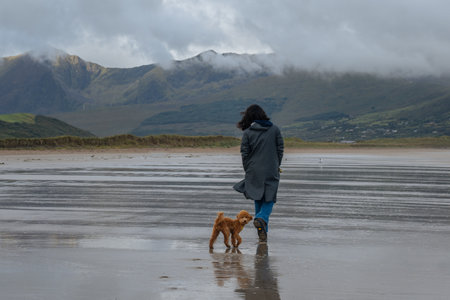 woman walks her miniature poodle on a beach in irelandの写真素材