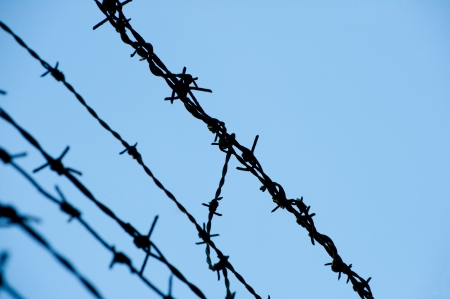 wire, razor, security, protectionの写真素材