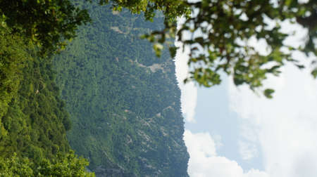 a mountain forest at the foot of the mountain kosiakas eastern slopes of Pindos in summerの写真素材