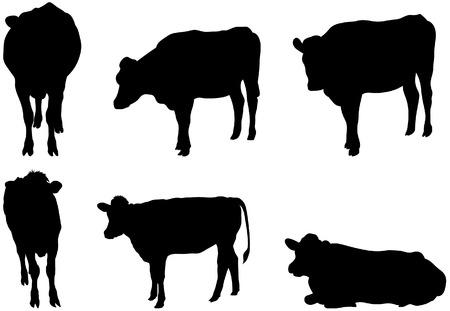 Set of 6 cow silhouettesのイラスト素材