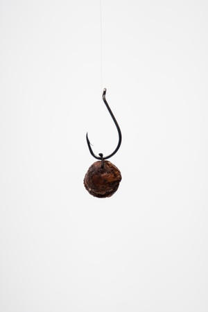 fishing hook with bait for fish