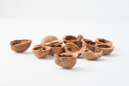 Shelled walnutの写真素材