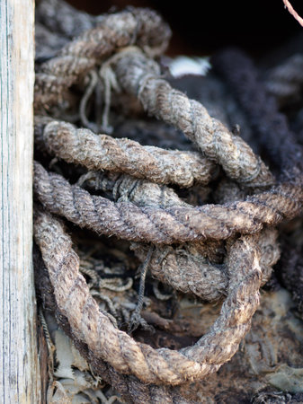 Abandoned ropeの写真素材