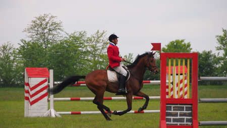 Horse jumping competitionのeditorial素材