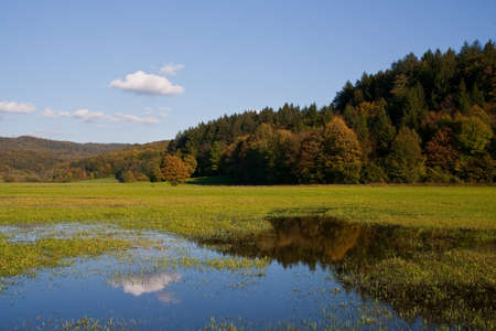 Autumn meadowの写真素材
