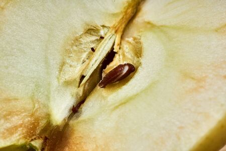 Apple seed in a sliced apple close-up. Macro photography