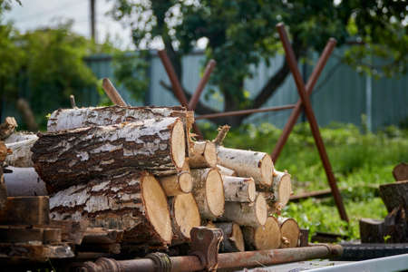 Birch logs are stacked and prepared for felling against the backdrop of a support for cutting logs....