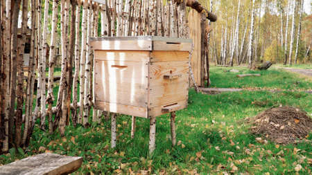 Bee apiary on the outdoor. Home for bees on a summer day.の写真素材