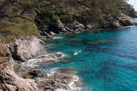 Mediterranean Sea at Rayolの写真素材