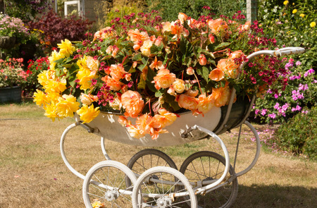 Pram with begonias の写真素材