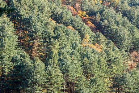 Beautiful autumn landscape with colorful in South Koreaの写真素材