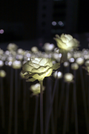LED flower garden at the rooftop of the Dongdaemun Design Plaza の写真素材