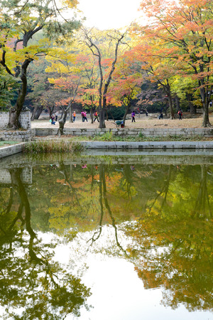 SEOUL, SOUTH KOREA - October 29, 2014 :Tourist visit at Changdeokgung palace, built by the kings of the Joseon Dynasty on October 29, 2014 in Seoul, South Koreaのeditorial素材
