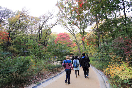 SEOUL, SOUTH KOREA - October 29, 2014 :Tourist visit at Changdeokgung palace, built by the kings of the Joseon Dynasty on October 29, 2014 in Seoul, South Koreaのeditorial素材