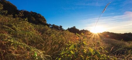Beautiful mountain landscape, Chiangmai, Thailandの写真素材
