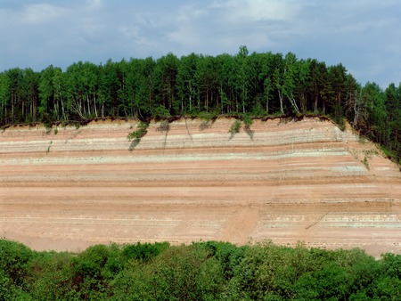 A cliff with a forest and visible ground layersの写真素材