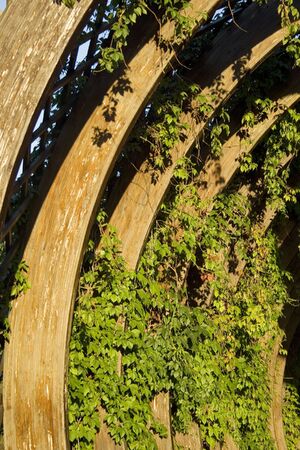 An interior view of a bridge with decorationsの写真素材
