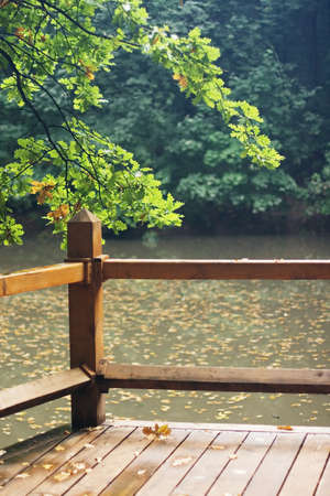 A view of a green park in summerの写真素材