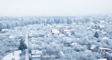 A top view on a snowed village next to a forestの写真素材