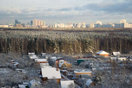 A view of a sub urban village and a big city behind a snowed forestの写真素材