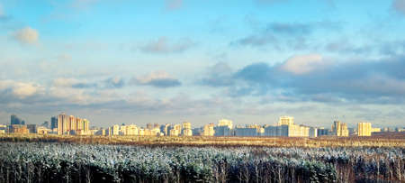 A view of a snowed forest and a big city behind it on a sunny winter dayの写真素材