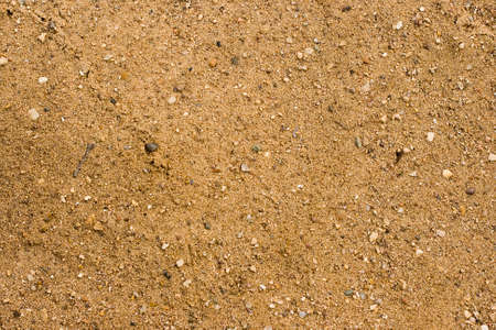 Sand texture with small rocks and particles for a background textureの写真素材