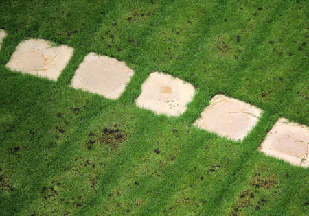 Top view of mown grass with a stone pathの写真素材