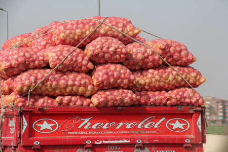 Rear view of a truck transporting loads of vegetables in Cairo, Egyptのeditorial素材