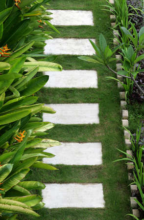Stone path in a nice tropical park with exotic plantsの写真素材