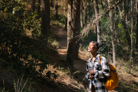 Asian woman traveler with backpack walking in the forest at Doi Inthanon National Park, Chiang Mai, Thailandの写真素材