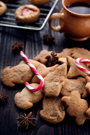 Aromatic and fresh gingerbread cookiesの写真素材