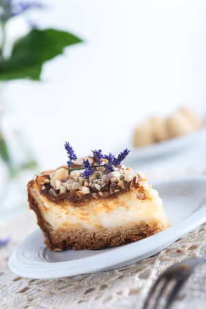 Delicious cheesecake on bright backgroundの写真素材