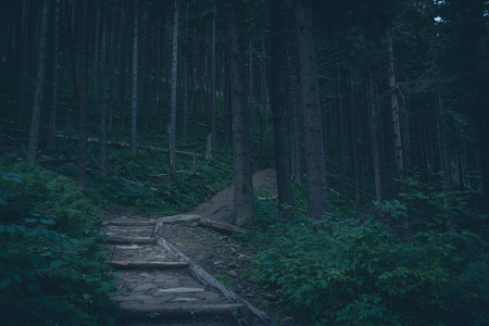 Mysterious hiking trail in the mountainsの写真素材