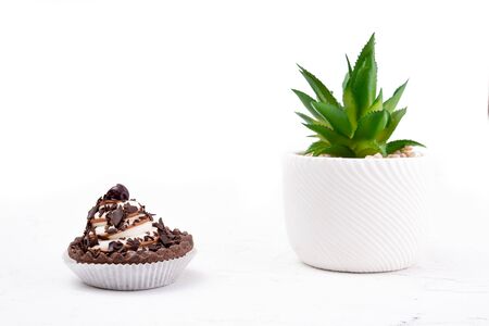 Chocolate cookie with cream and cherry on whiteの写真素材