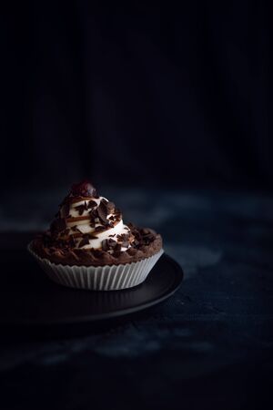 Chocolate cookie with cream and cherries on dark backgroundの写真素材