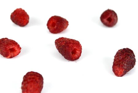Raspberries limbo Background. High resolution color image.