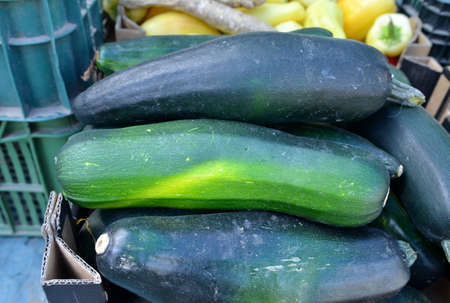Organic Zucchini for sale at farmers market. Background.の写真素材