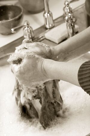Photo of a woman hand washing in the kitchen sinkの写真素材