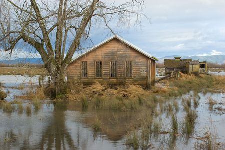 Photo of flooded pastures and buildings on Svensen Island, near Astoria, Oregonの写真素材
