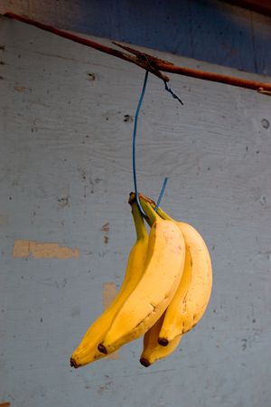 Photo of a bunch of small bananas at a fruit stand on Oahuの写真素材
