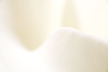 Very abstract photo of a calla lily.の写真素材