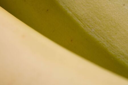 Photo of a bunch of bananas shot at high magnification.の写真素材